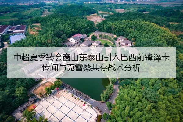 中超夏季转会窗山东泰山引入巴西前锋泽卡传闻与克雷桑共存战术分析